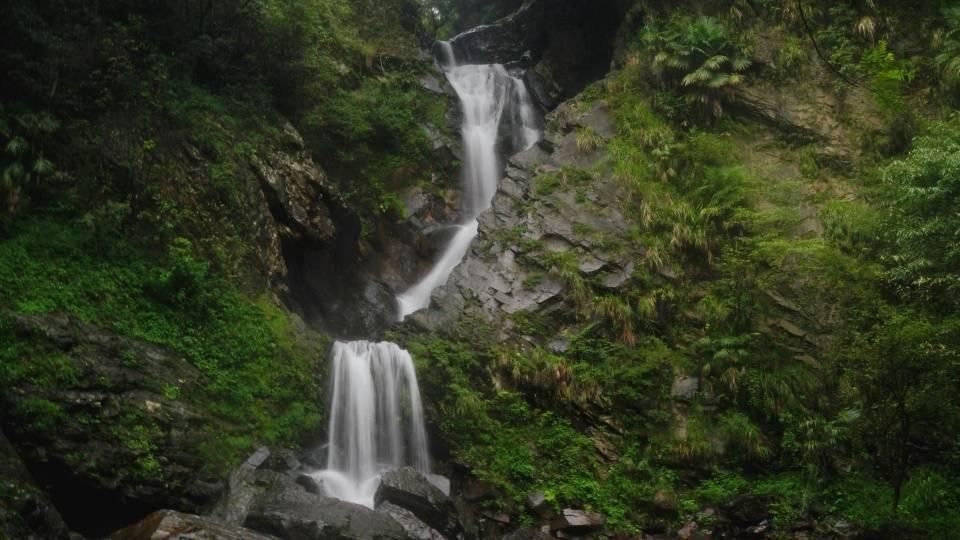 小汪汪